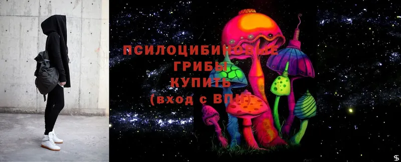 Галлюциногенные грибы Cubensis  блэк спрут как зайти  Терек  купить наркотик 